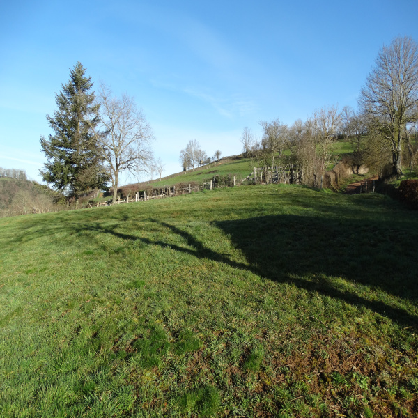 Offres de vente Terrain Trambly 71520